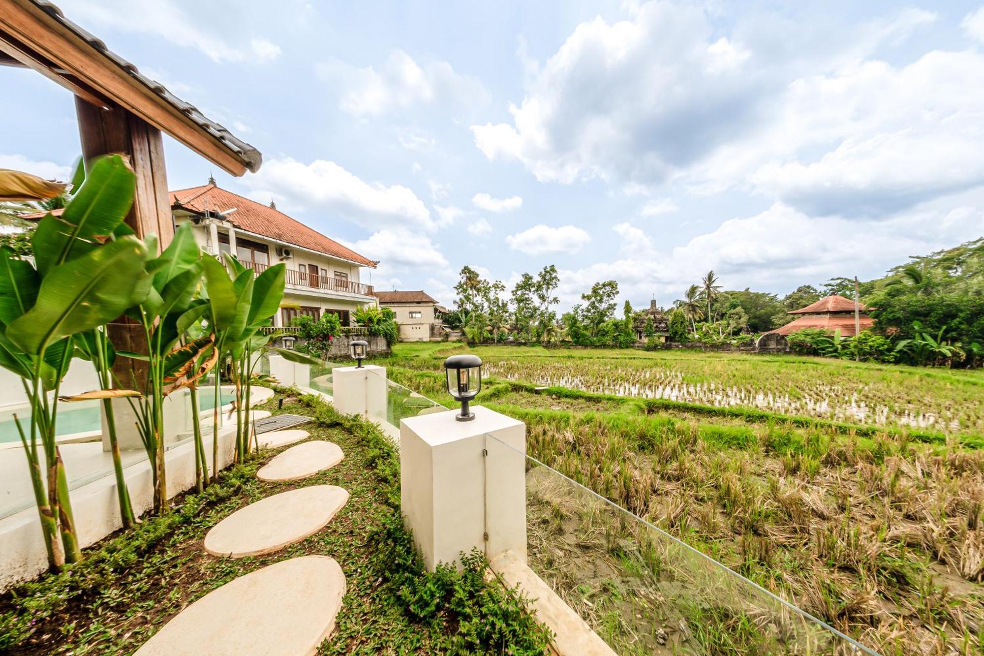 Sarang Apartments By Evdekimi Ubud Rom bilde